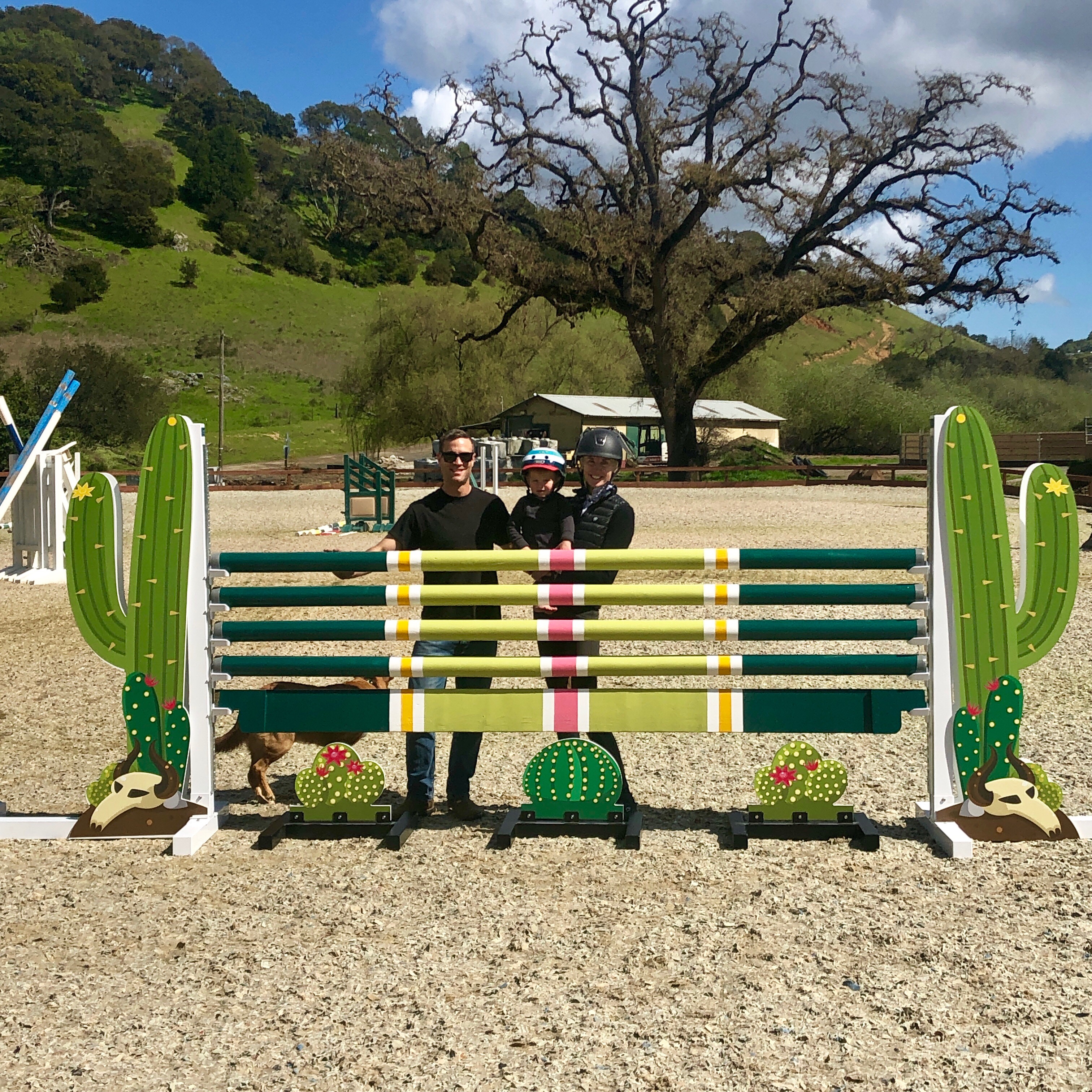About JB Horse Standards Horse Jumps