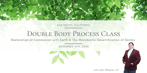 BodyProcessNov13_Wix (6).png