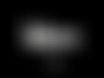 Three Brands. One Curated Portfolio