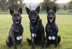 Vise_Myska_Via_Fetch_medals_sm