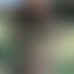 2018 春季岡崎シングルステニス大会　男子