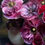 Thumbnail: The Flower Bible