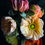 Thumbnail: Poppies