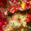 Thumbnail: Colorful Tulips 2023