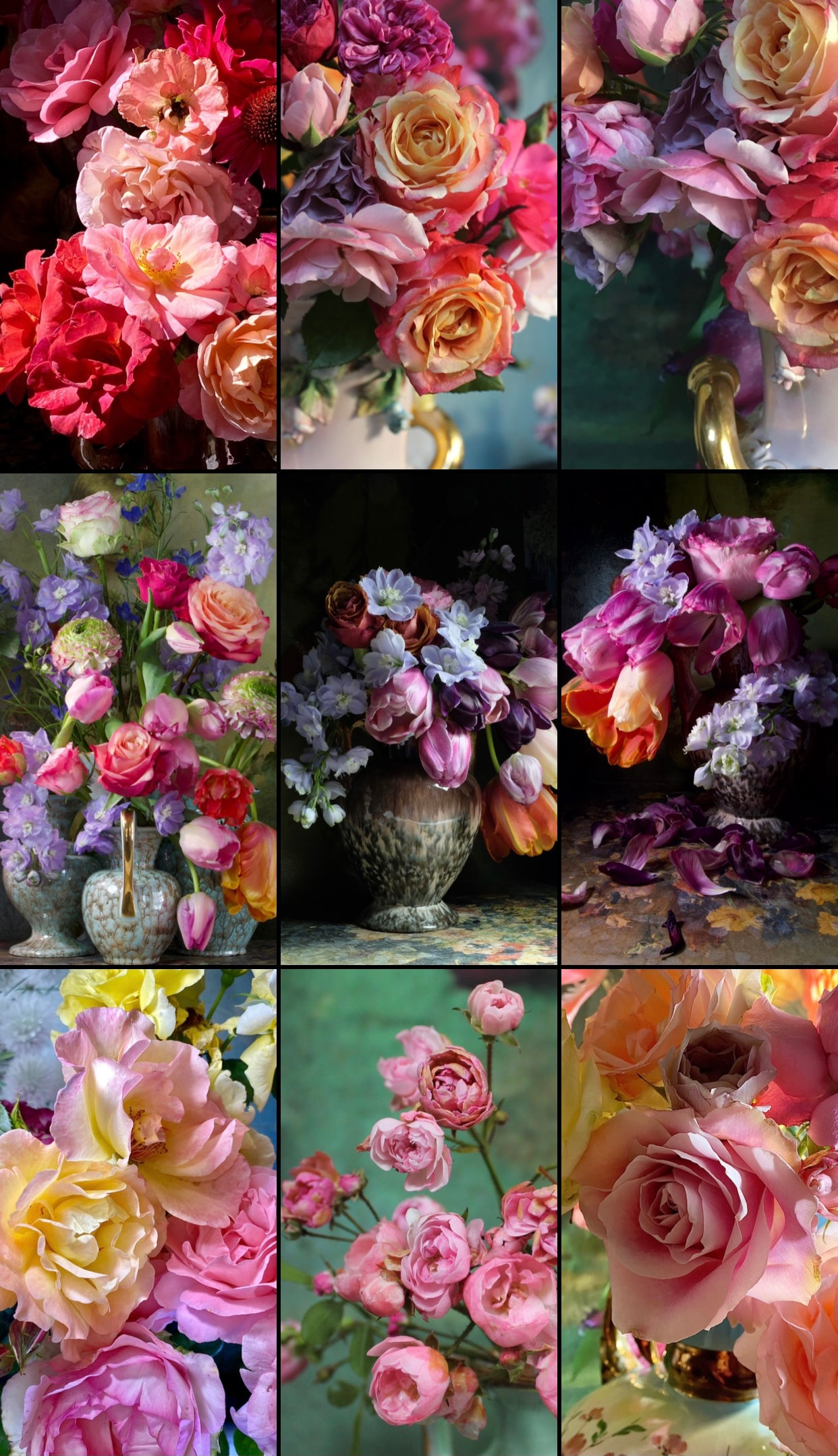 Spring Roses