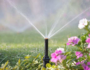 Aspersor de riego funcionando al costado de unas flores
