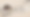 LorieFossaYouTube.png