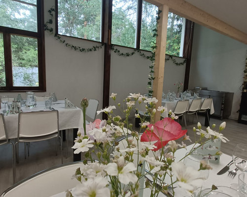 Valmistujaiset ja sukujuhlat Villa Metsälässä