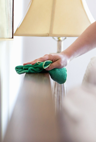 Woman Cleaning Furniture