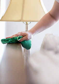 Woman Cleaning Furniture