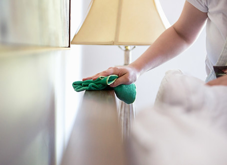 Woman Cleaning Furniture