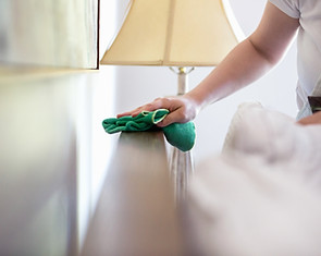 Woman Cleaning Furniture