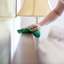 Woman Cleaning Furniture