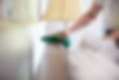 Woman Cleaning Furniture