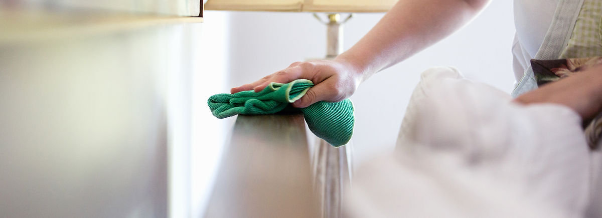 Woman Cleaning Furniture
