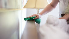 Titres-services