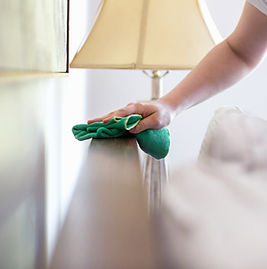 Woman Cleaning Furniture