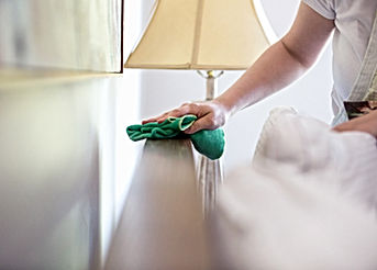 Woman Cleaning Furniture