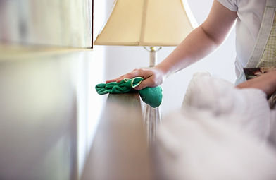Woman Cleaning Furniture