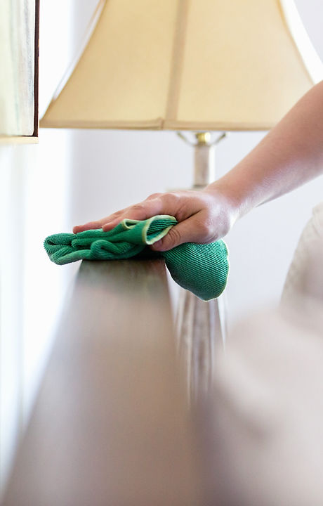 Woman Cleaning Furniture