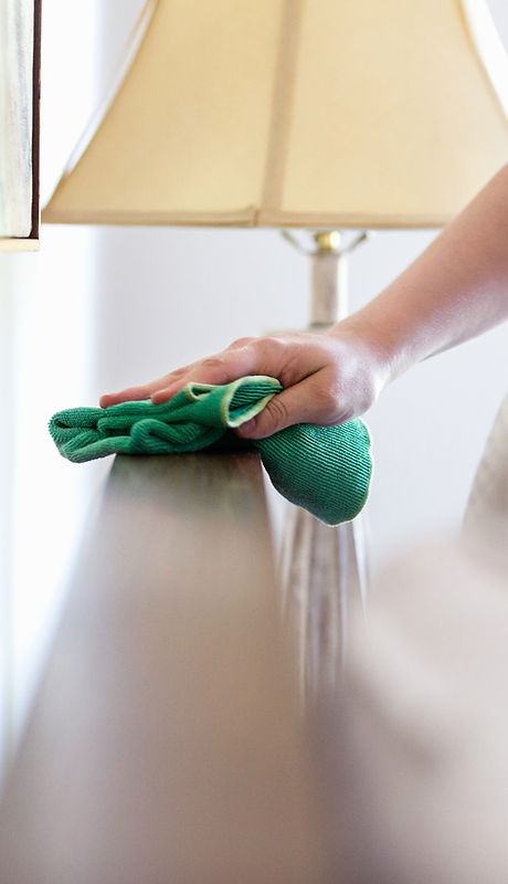 Woman Cleaning Furniture