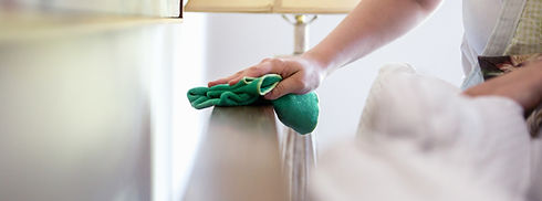 Woman Cleaning Furniture