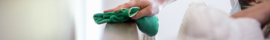 Woman Cleaning Furniture