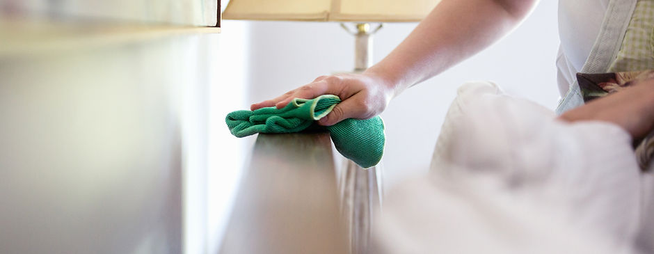 Woman Cleaning Furniture