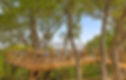 Y12zL6UNdb71dXBoW1dE (1)_edited.jpg