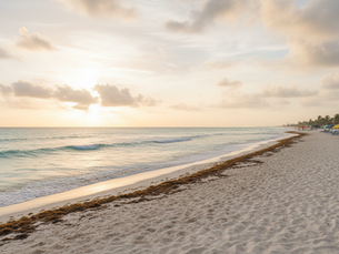 Cancún’s expanded strategy aims to detect and collect more sargassum before it reaches the coastline.