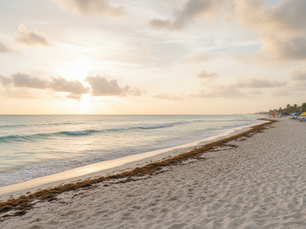 Cancún’s expanded strategy aims to detect and collect more sargassum before it reaches the coastline.