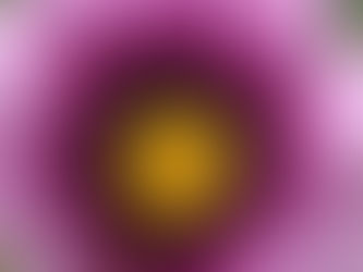 Mujeres que aman demasiado II