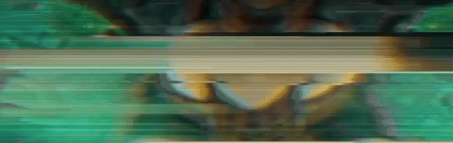 WhatsAppVideo2025-02-05at12.40.31_59413416-ezgif.com-video-to-gif-converter.gif