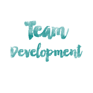 Team Development Teamentwicklung Hanne Rohrauer