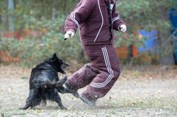 MONDIO2411green-3932