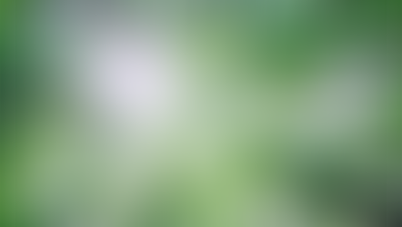 Mercado de celulose enfrenta excesso de oferta e pressão sobre preços