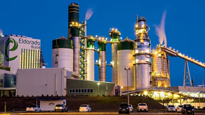 Paper Excellence tenta impedir plano de expansão da Eldorado