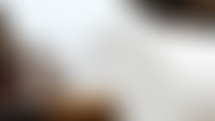 Indústria de celulose acompanha possíveis impactos logísticos em meio à tensão no Oriente Médio