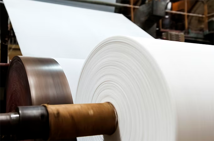 Para onde está indo a indústria de celulose na China