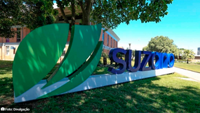 Suzano resiste à pressão de mercado e mantém plena produção