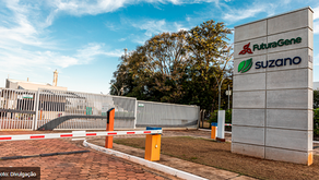 FuturaGene, divisão da Suzano, obtém aprovação regulatória inédita para eucalipto geneticamente editado