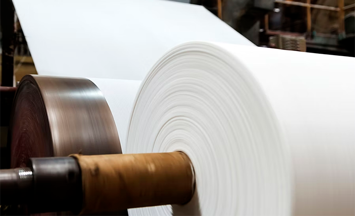 Indústria de celulose aposta em inovação e diversificação para sustentar competitividade global