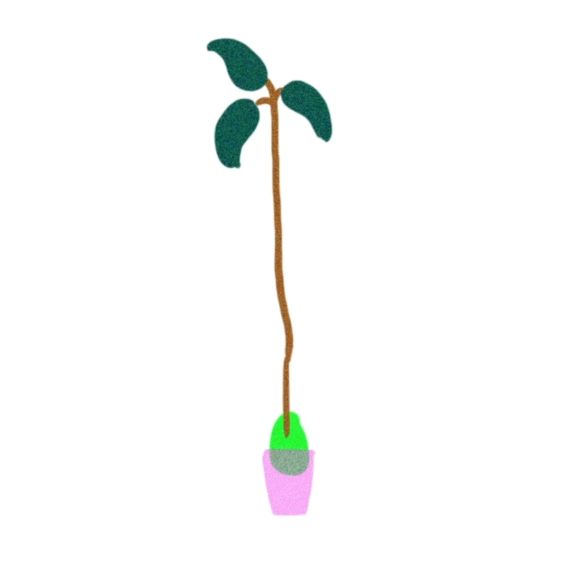 avocado-ready_first-frame.gif