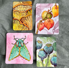 Nature studies in ink and watercolor