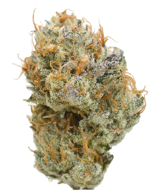 Dome Piece F0290_edited.png