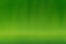 Banana Leaf