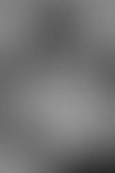 GUILLE CASTILLO for THE PINK PRINCE