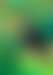 第17回Grimmお絵かきコンクール