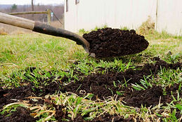 topdressing-the-lawn-2152863-09-9dd209650f8049ef96b011cf39d70003.jpg