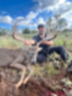 Whitetail